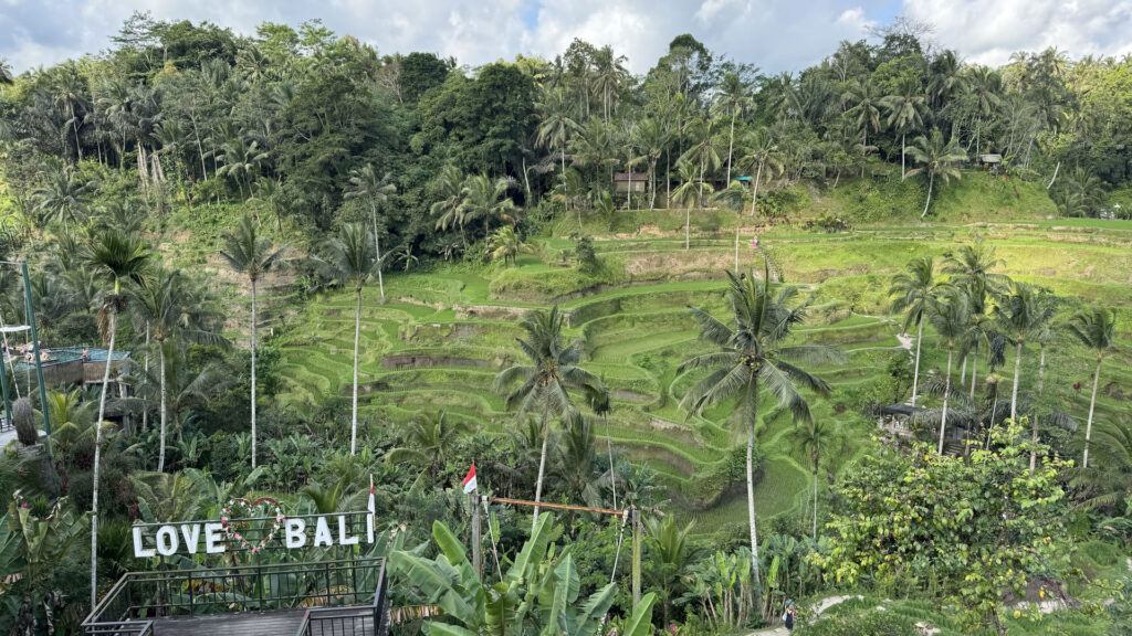Indonesia in moto