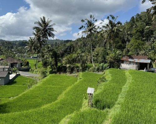 indonesia-in-moto-4-rhzbbhnhc6vcm1vyc27243yqzd6na46m9n31dq5kf4